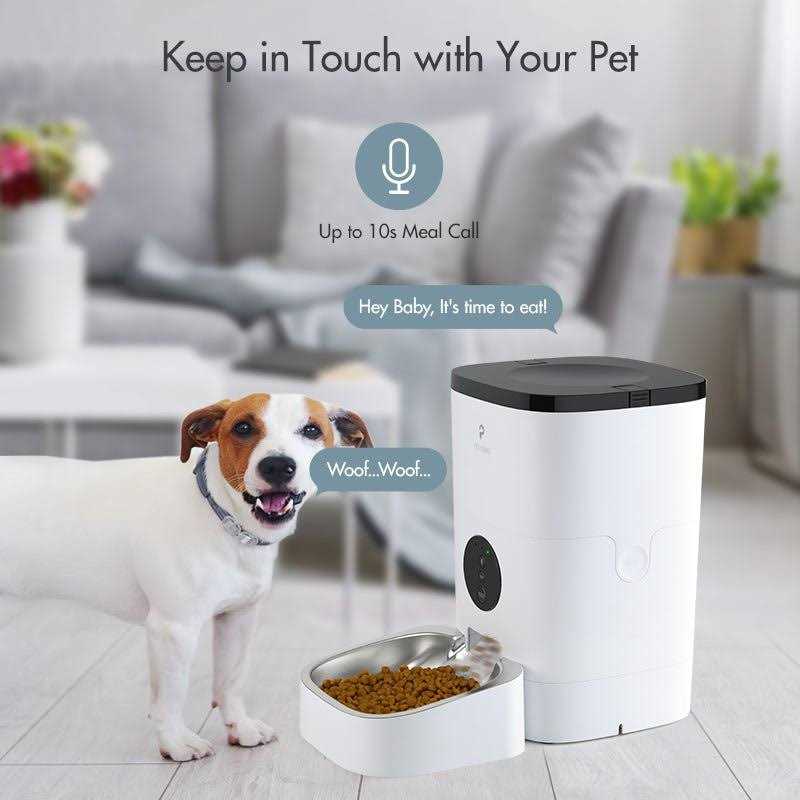 Automatic Cat Food Dispenser U3425