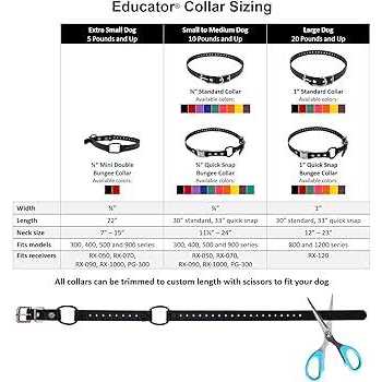 Bungee Collar O832