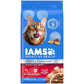 Chicken & Beef Dry Cat Food X731226