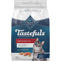 Adult Dry Cat Food Brown Rice O468
