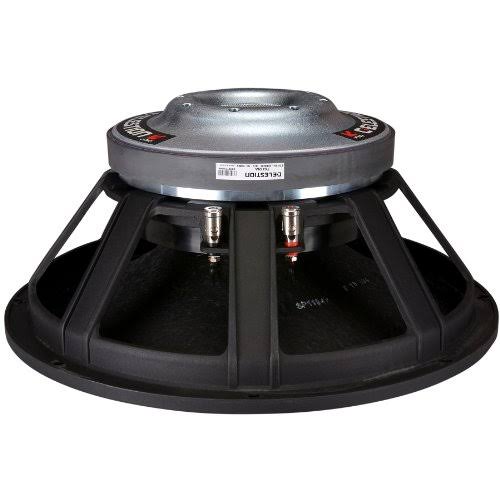 15x22 1000W Raw Frame Speaker C848934