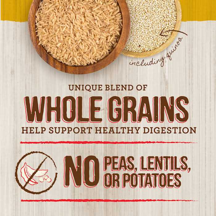 Healthy Grains Dry Dog Food Healthy Weight Recipe Z44112