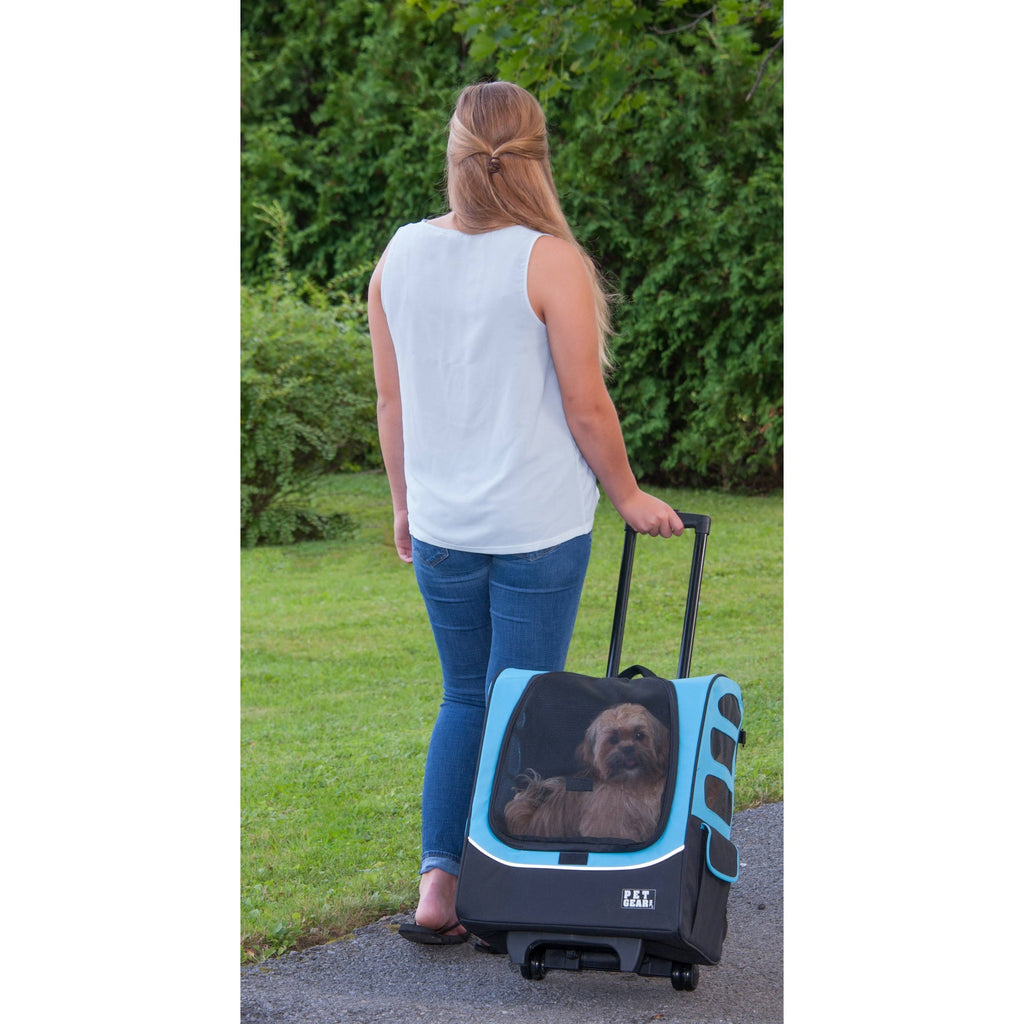 Ocean Blue Pet Carrier S483413