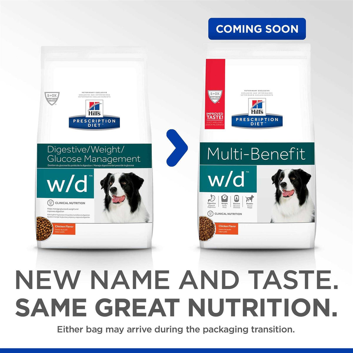 Chicken Flavor Dry Dog Food Z48620