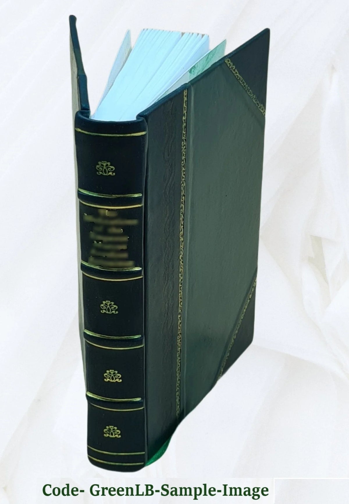 Leather Bound Book B739986