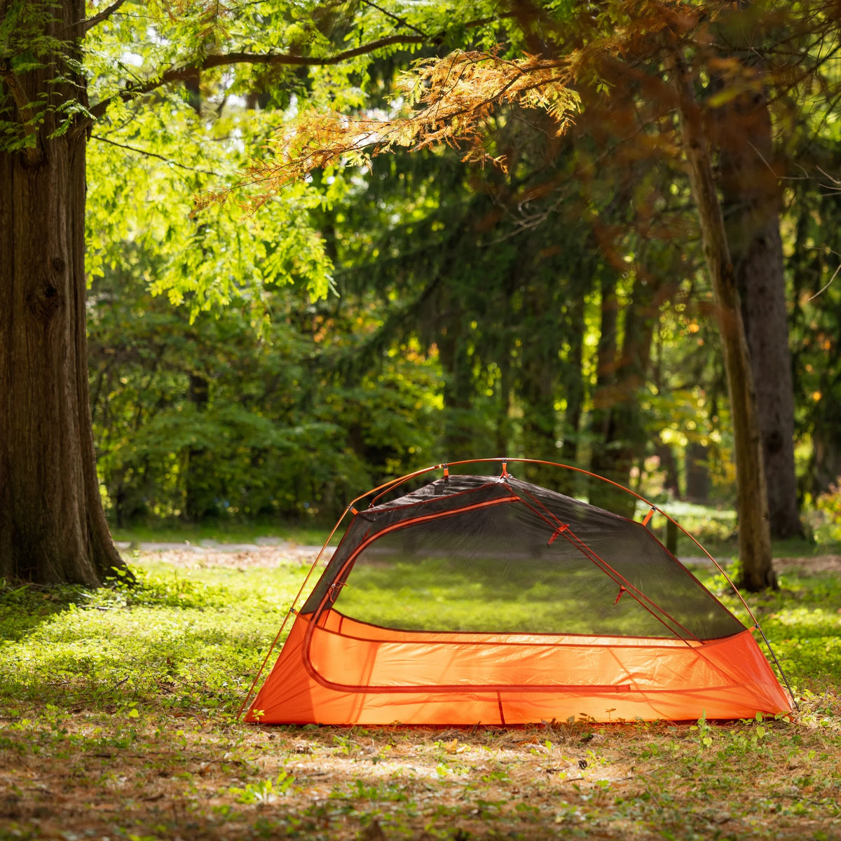 1-Person Lightweight Backpacking Tent, Orange C35076