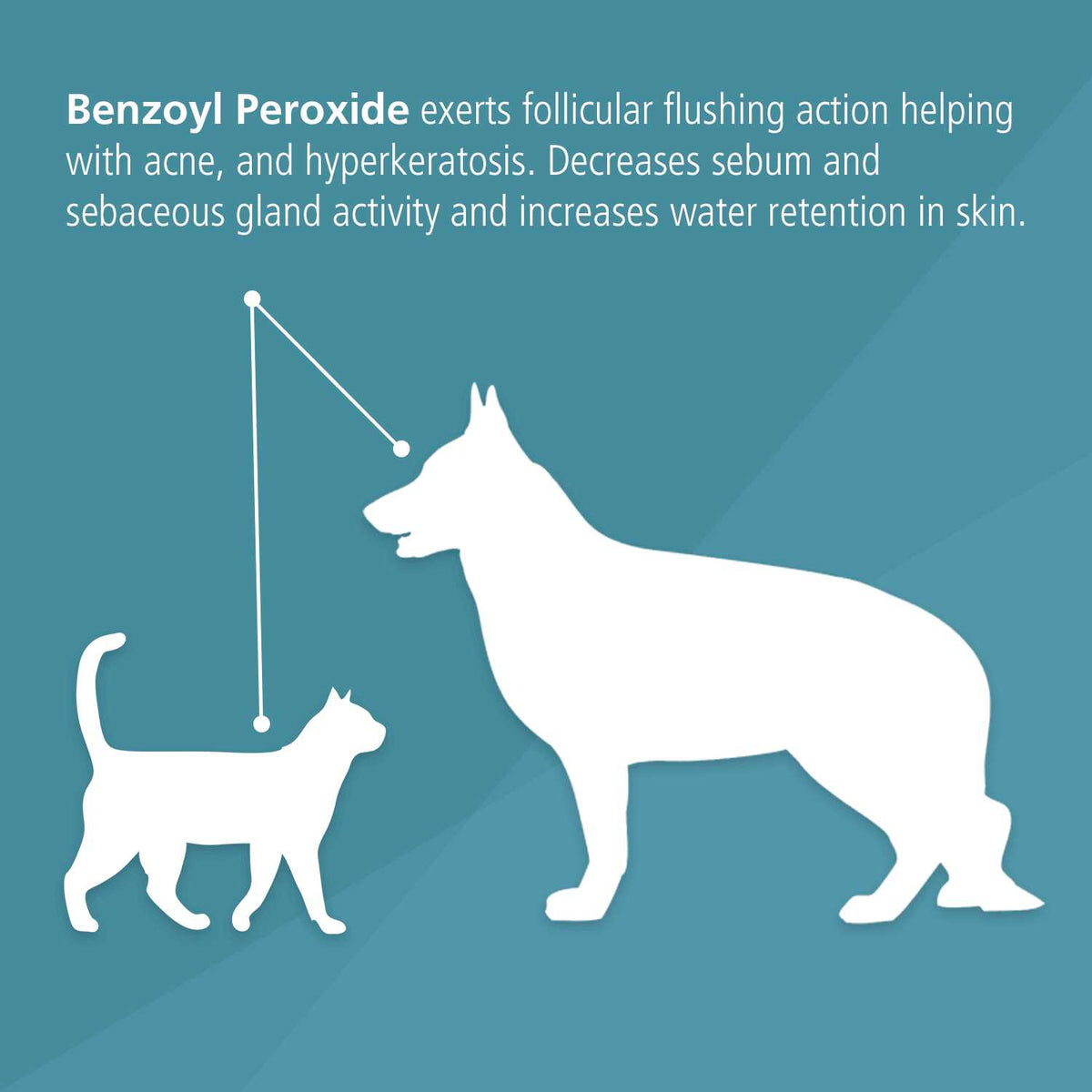 Benzoyl Peroxide Dog & Cat Shampoo M160