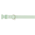 Dog Collar X844