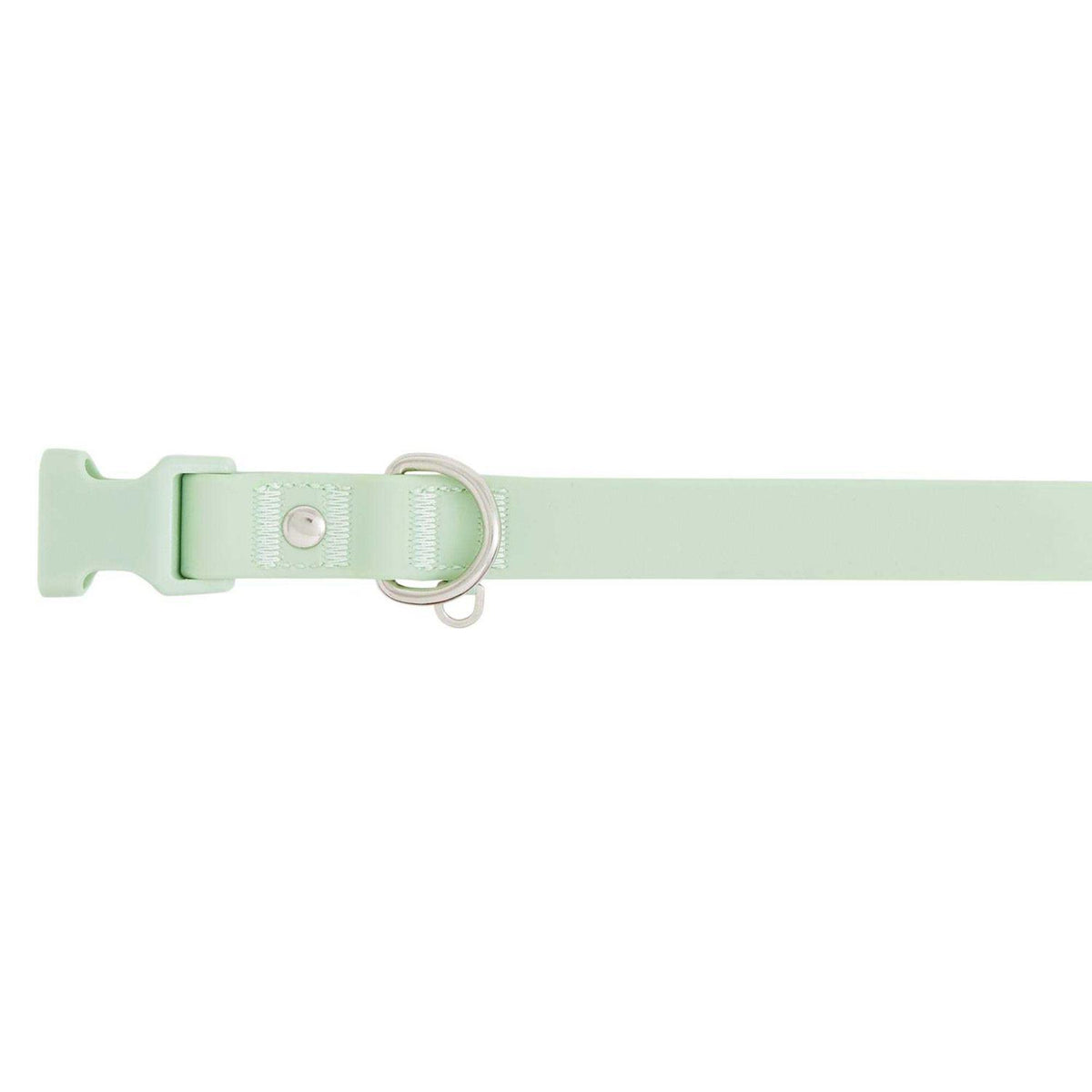 Dog Collar X844