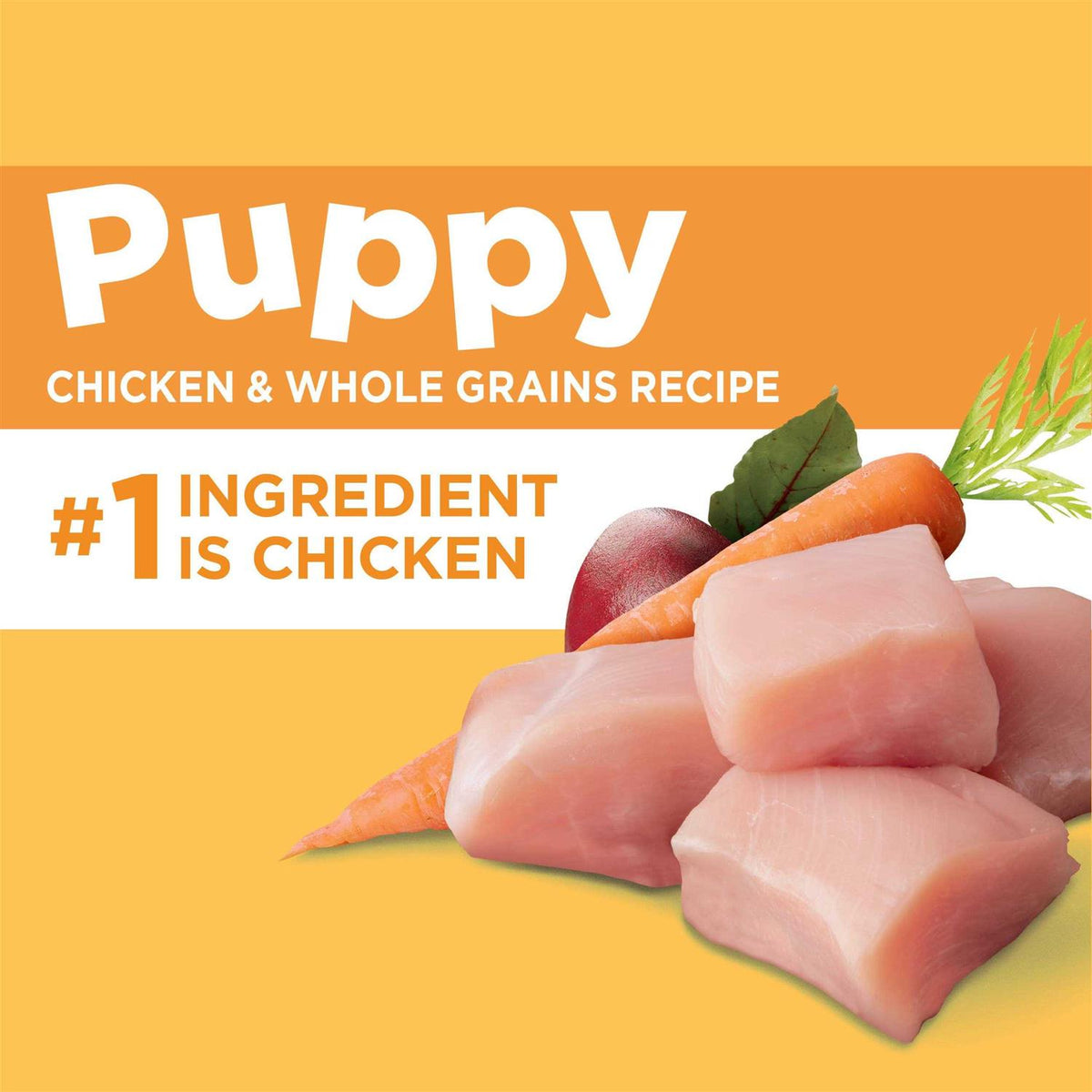 Chicken Puppy Dry Dog Food B105