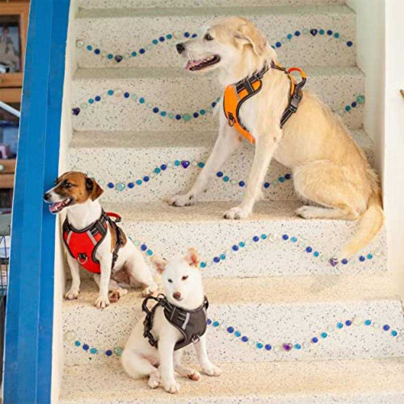 Adjustable Reflective Oxford Dog Harness with 5ft Dog Leash M28036