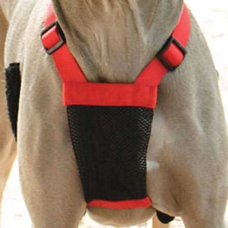 Mesh Non Pull Dog Harness M135175