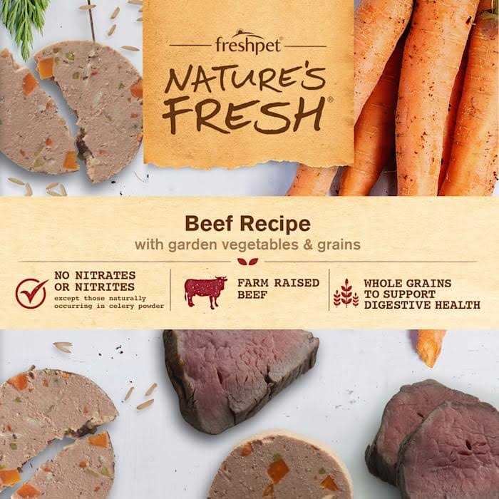 Beef Recipe Dog Food I498227