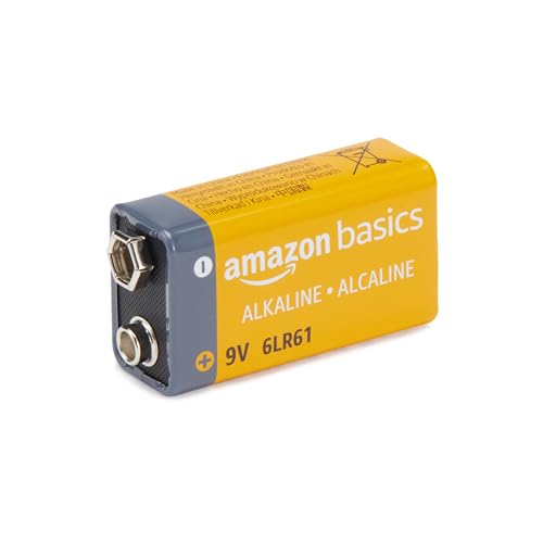 8-Count 9 Volt Alkaline Batteries J741