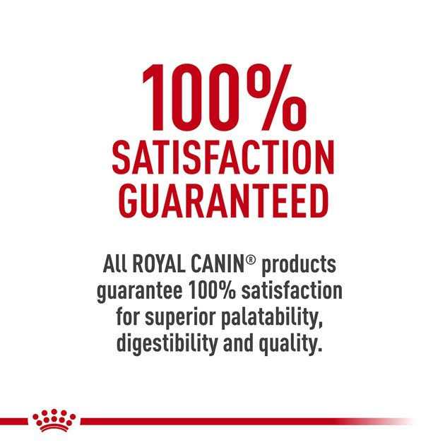 Hydrolyzed Protein Feline Treats X82928