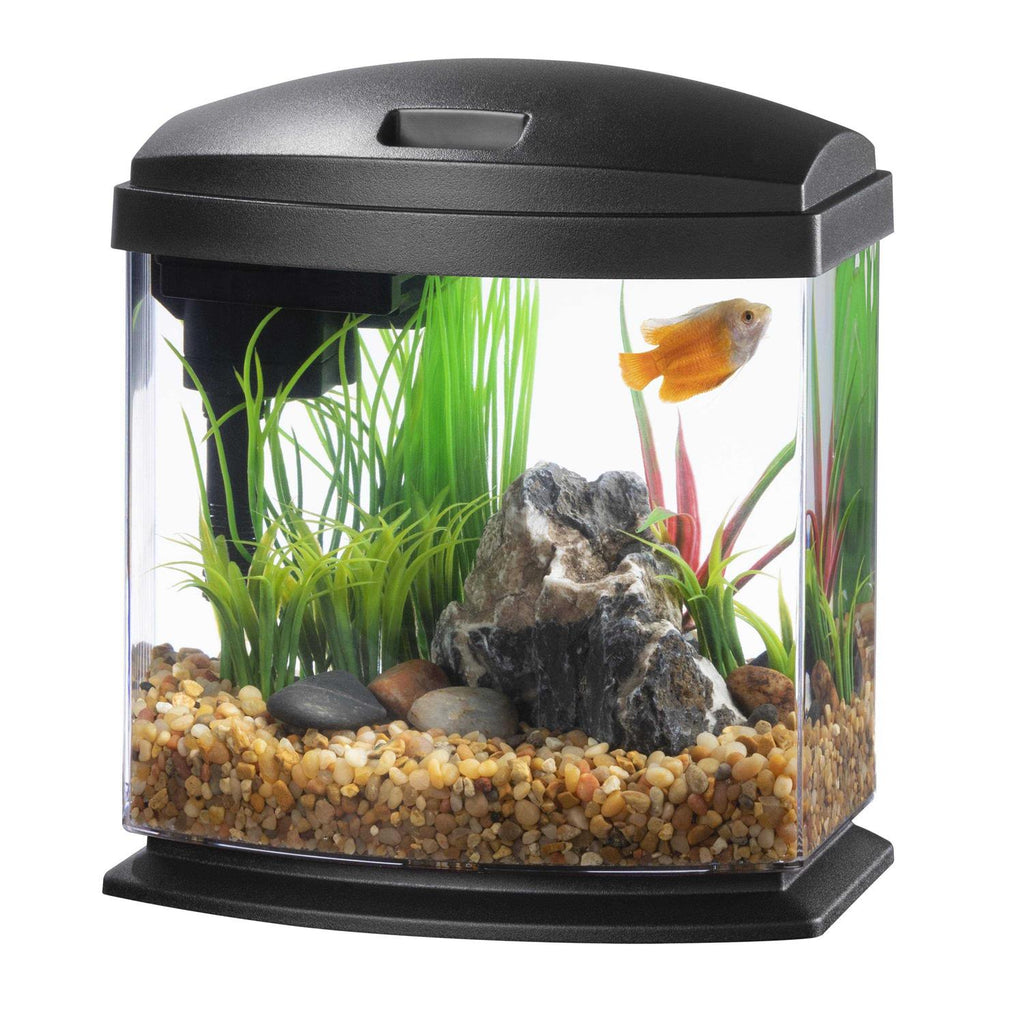 LED MiniBow SmartClean Aquarium Kit T20937