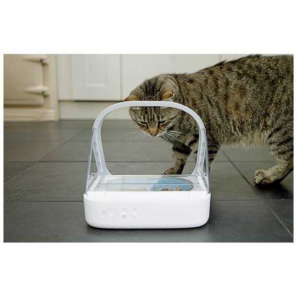 Microchip Pet Feeder Y72179