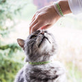 Cat Collar Breakaway A71507