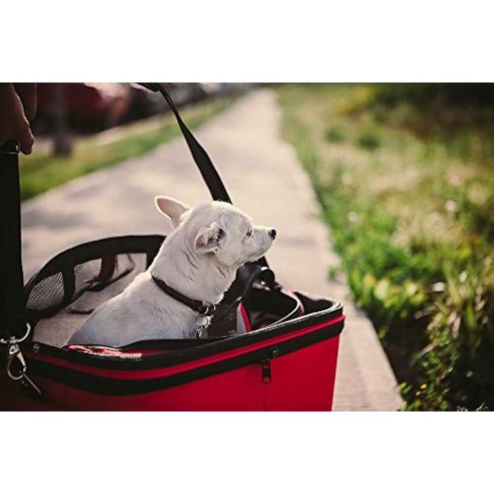 Cozy Pet Carrier Y6165