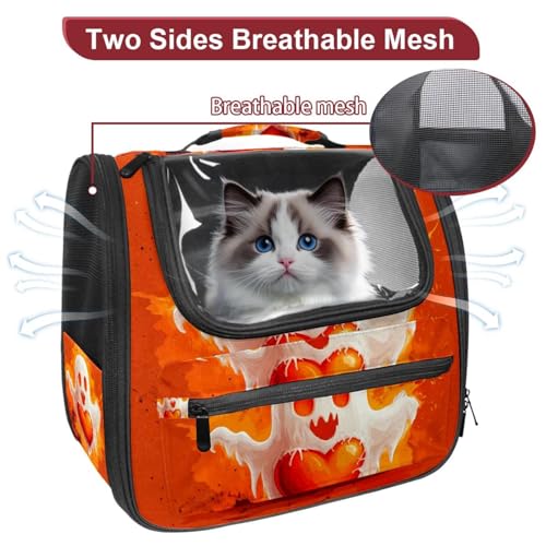 Halloween Pet Carrier Bag G827