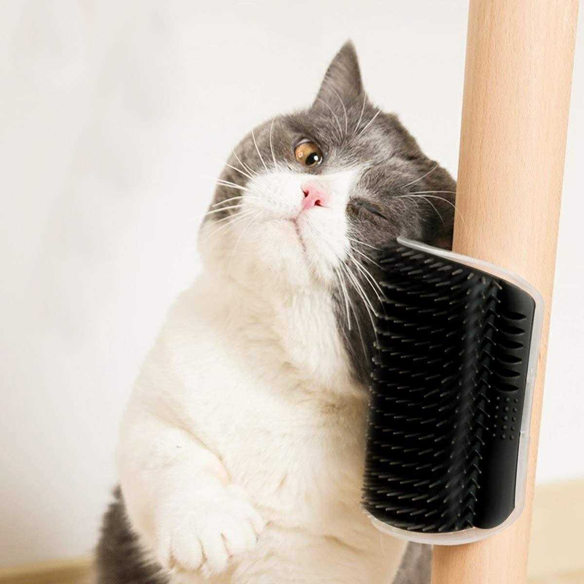 2 Pack Cat Self Groomer Wall Brush with Catnip W18145