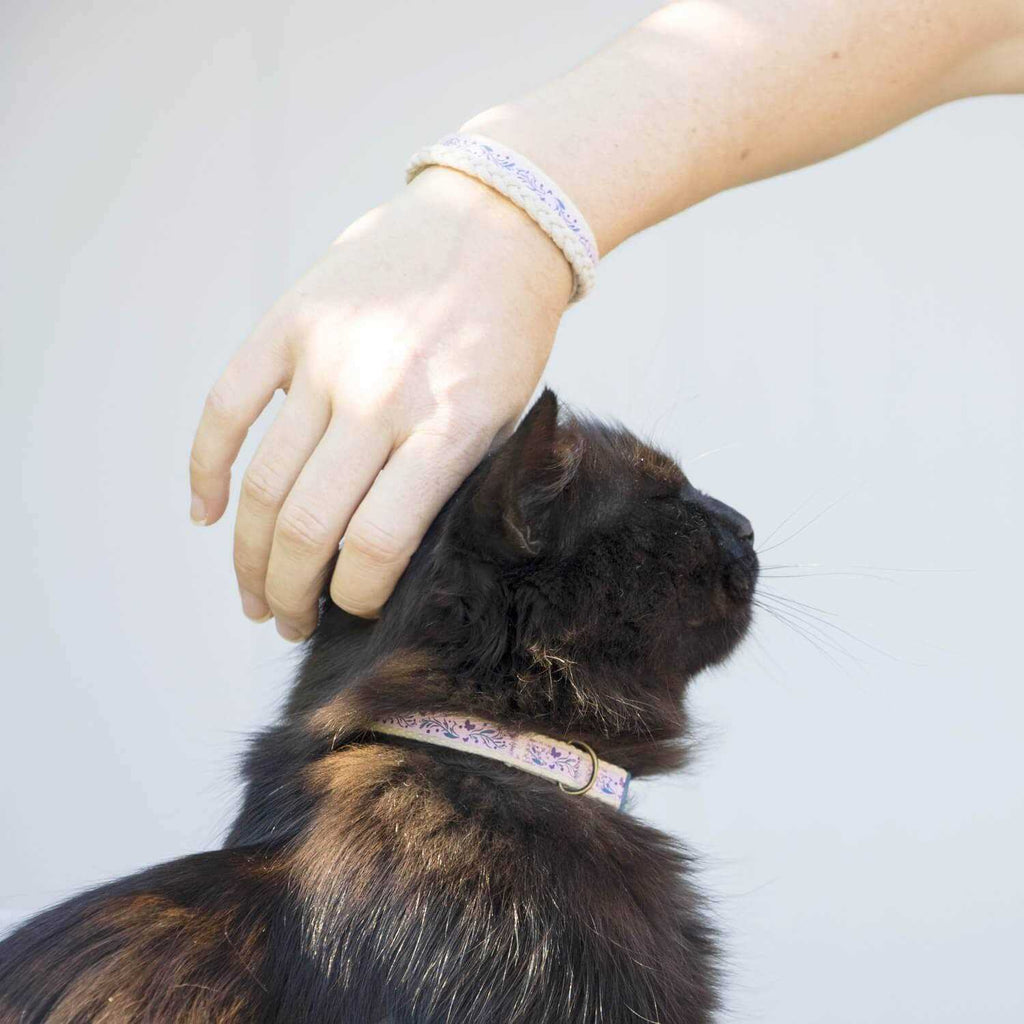 Cat Collar Breakaway A71507