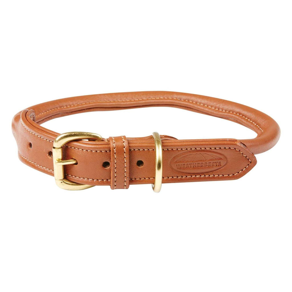 Rolled Leather Dog Collar Y458640