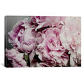 Peonies Galore II K353043