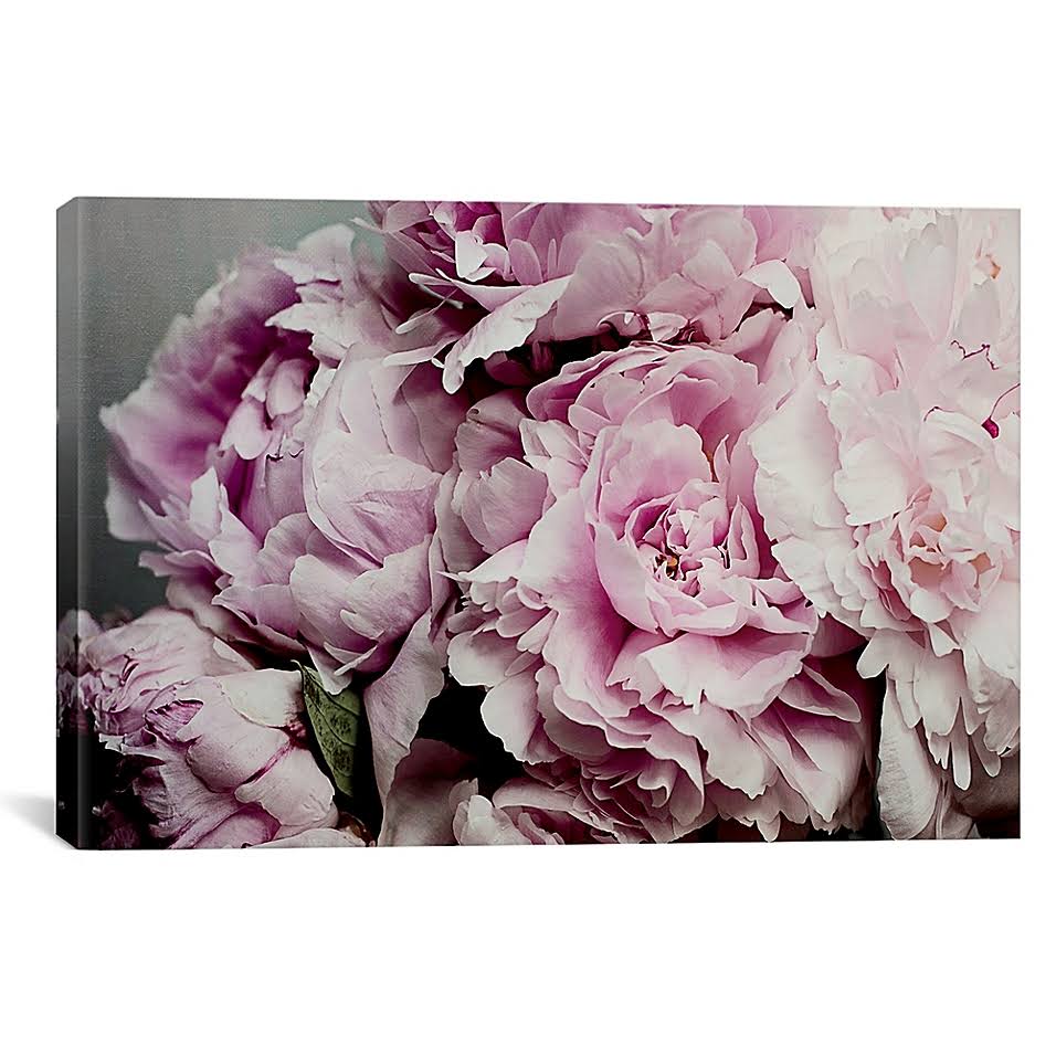 Peonies Galore II K353043