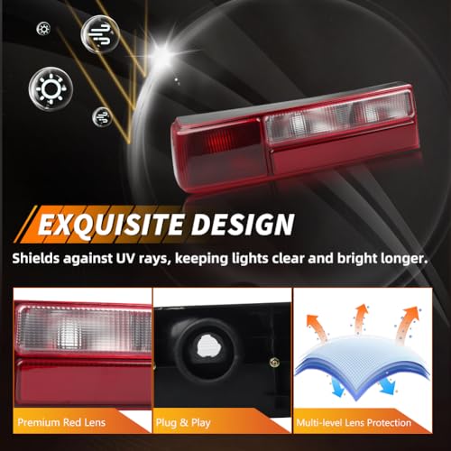 Smoked Lens Tail Light with Housing H17404