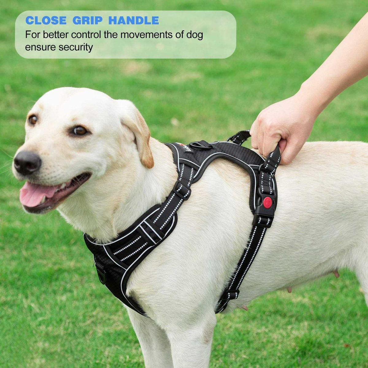 Adjustable Reflective Oxford Dog Harness with 5ft Dog Leash M28036