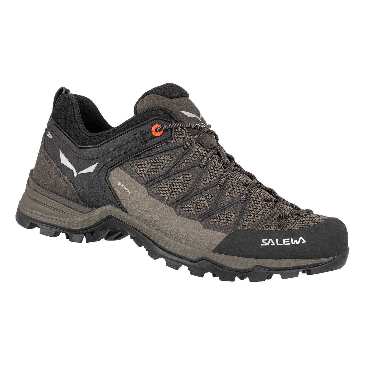 Mountain Trainer Lite GTX 11 A682