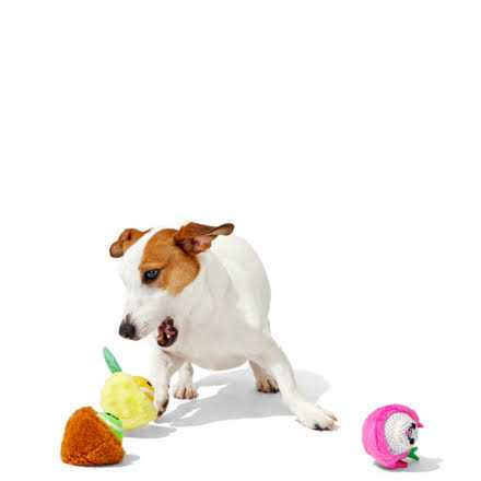 Dog Toys Squeaker Ball Toys H220
