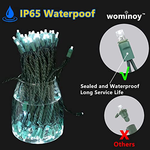 25ft 50 Counts Cool White LED Christmas Lights Outdoor Waterproof Green Wire U7075
