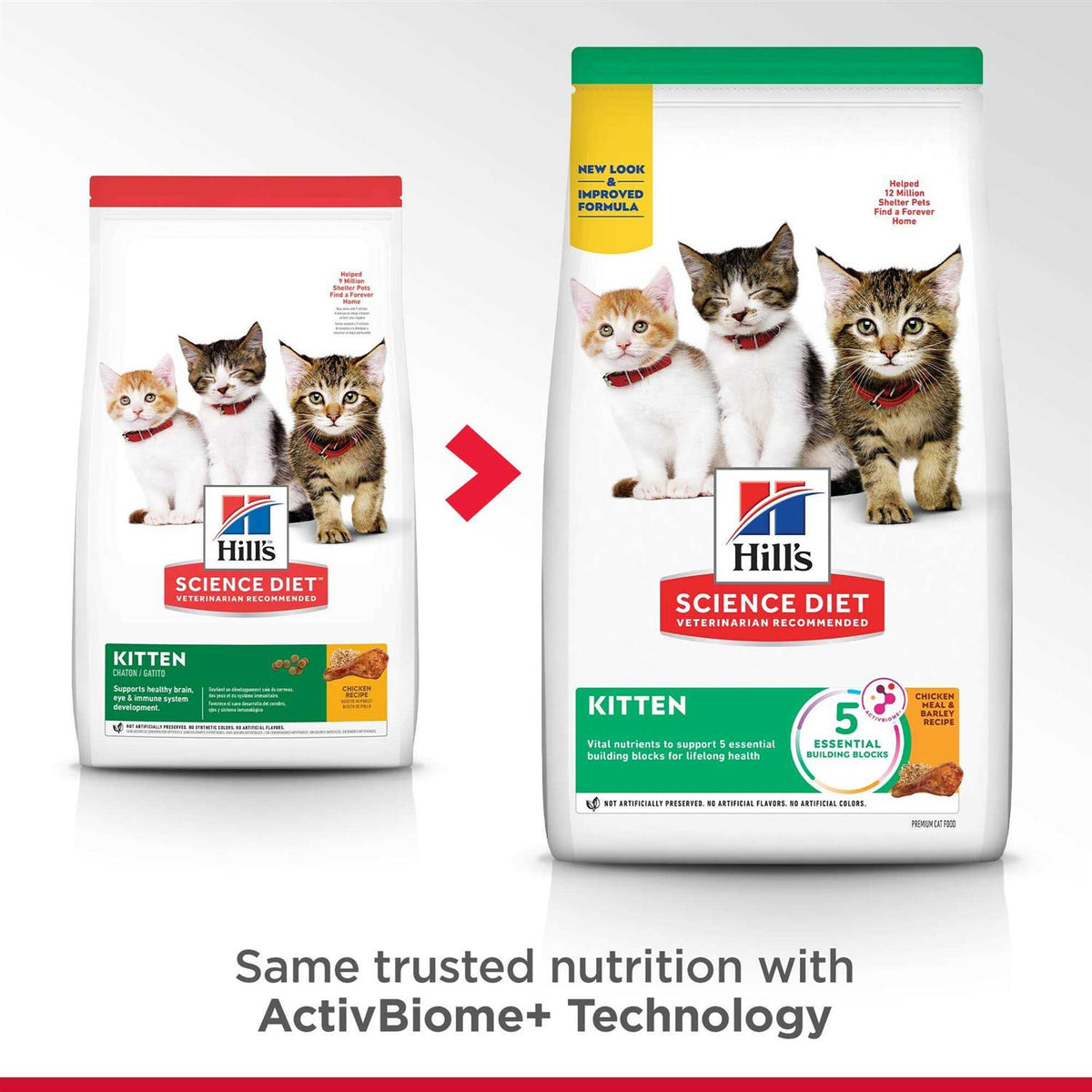 Indoor Kitten Dry Food Q1192