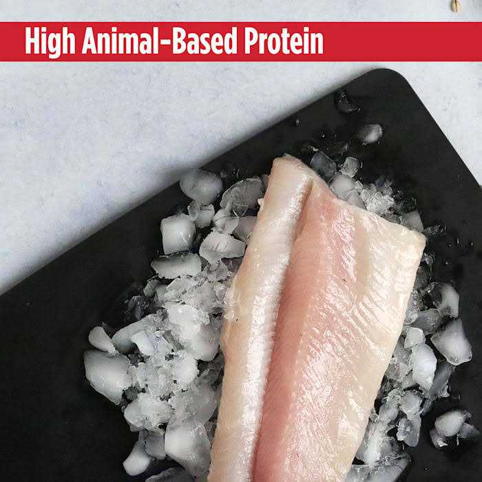 Grain Free Trout & Duck Dry Cat Food G162719