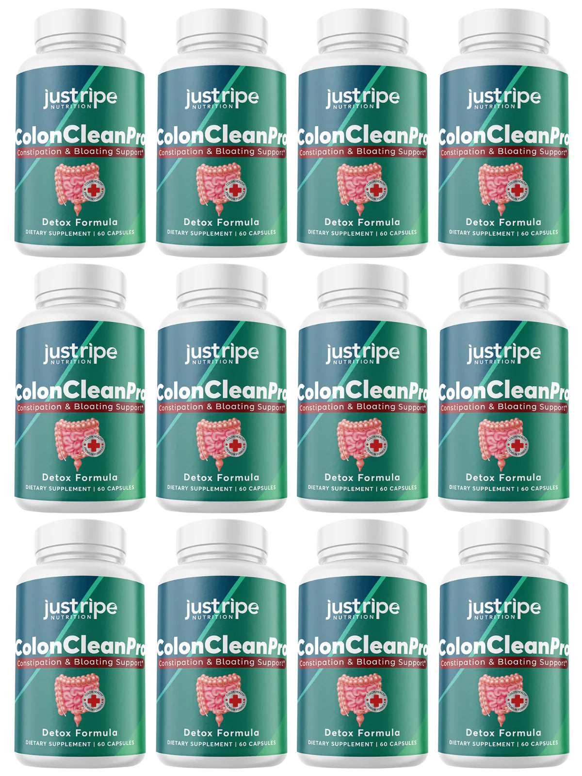 12 Pack Natural Digestive Support Supplement 60ct L389
