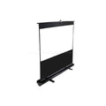 Portable Projection Screen B23398