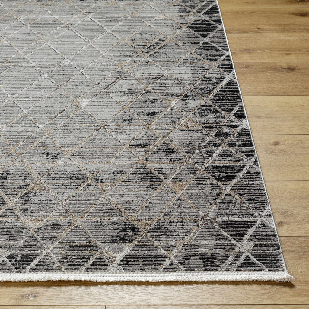 Gray Black 2' x 3' Area Rug F86267
