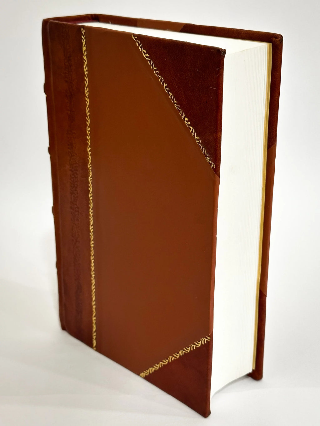 Rhode-Island and Providence Leather Bound B367721