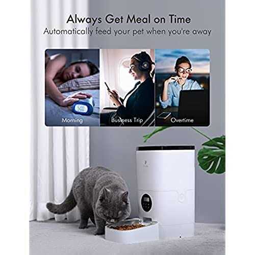 Automatic Cat Food Dispenser U3425