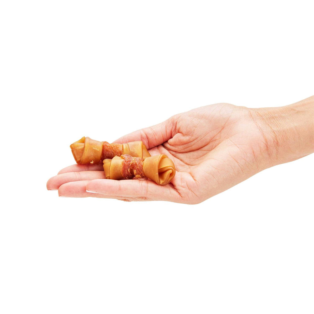 Peanut Butter Flavored Dog Bones K287264