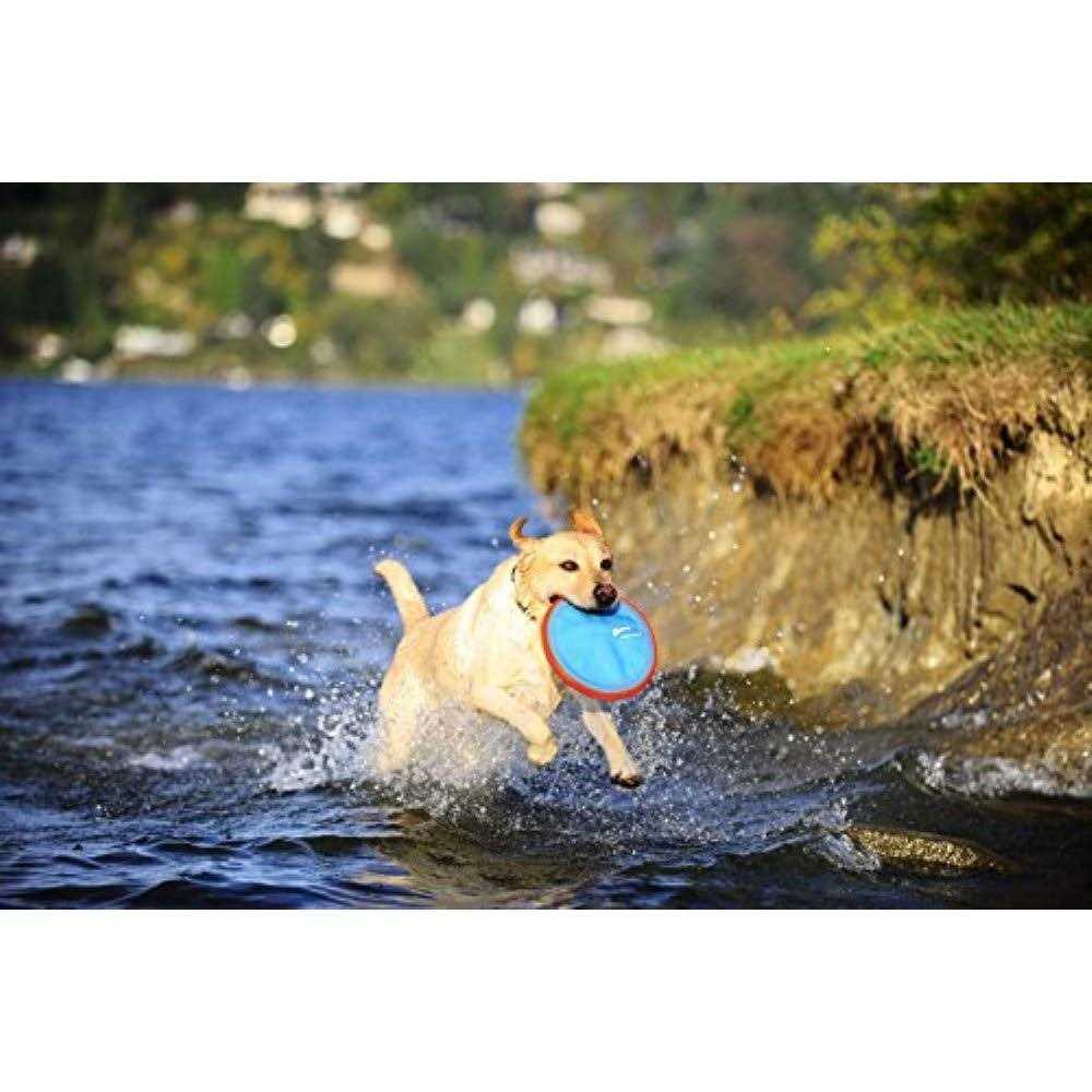 Dog Toy Z8575