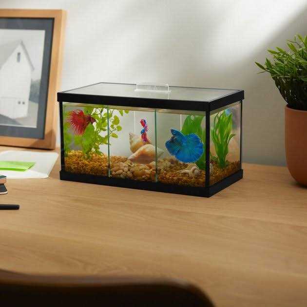 Betta Aquarium with Divider C7979