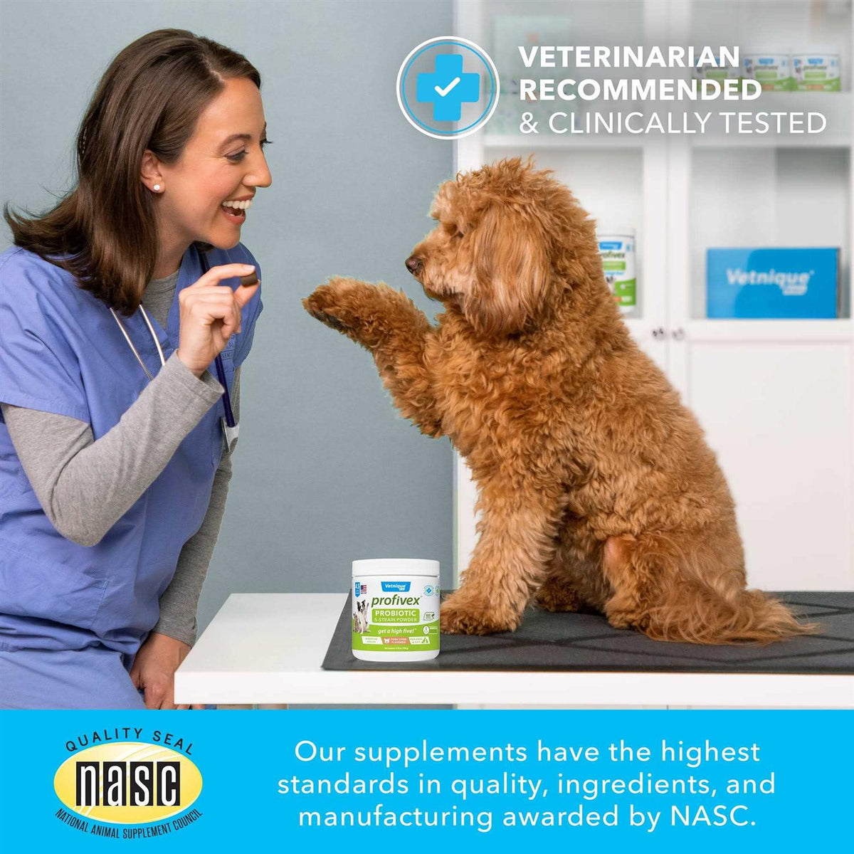Probiotic Powder for Dogs & Cats T1361