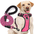 Adjustable Reflective Oxford Dog Harness with 5ft Dog Leash M28036