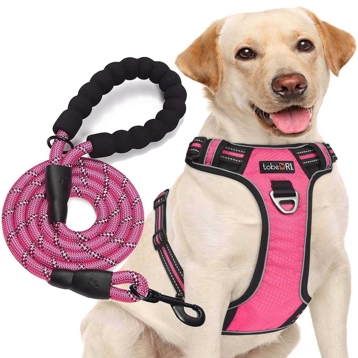 Adjustable Reflective Oxford Dog Harness with 5ft Dog Leash M28036