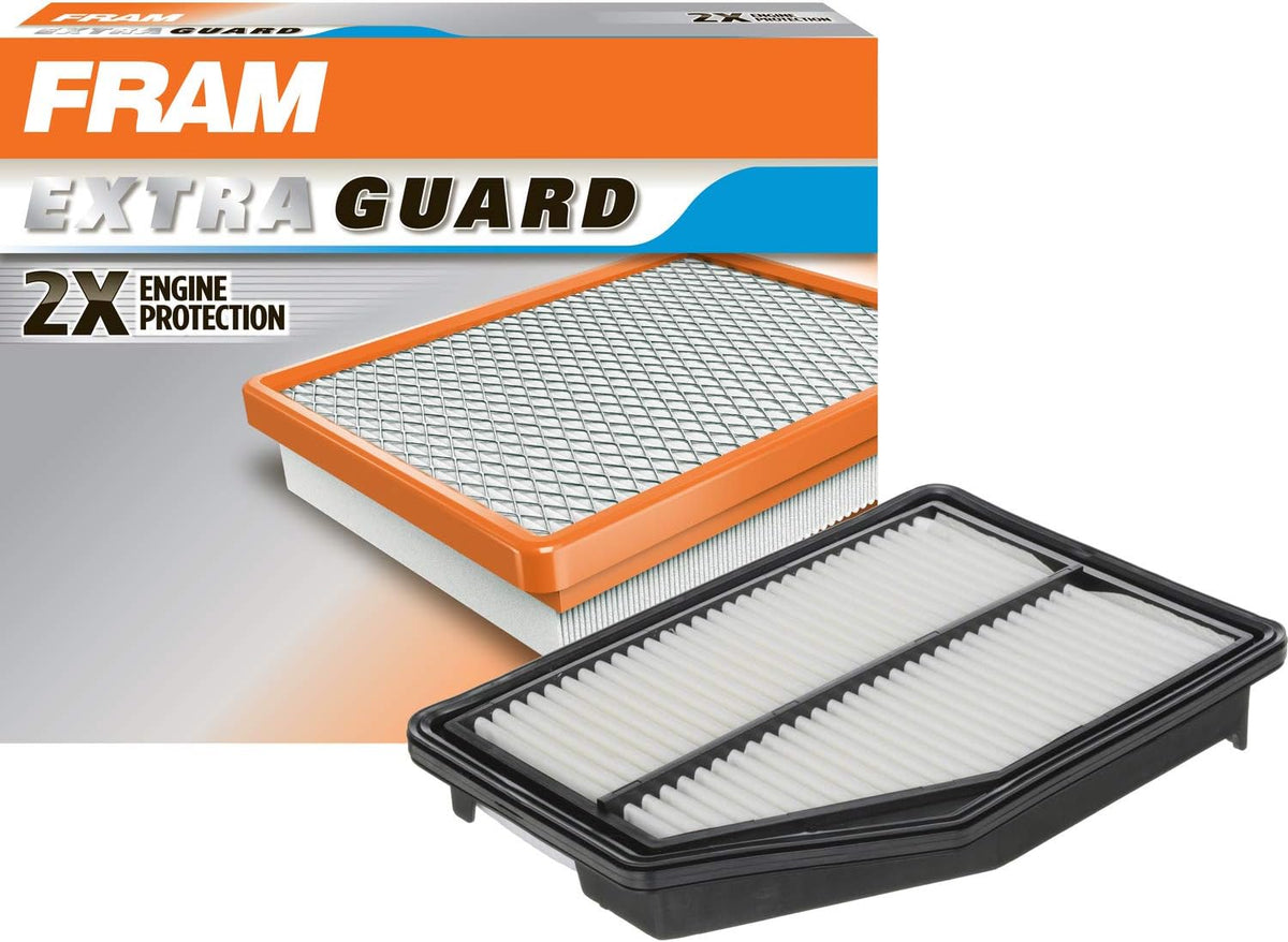 Air Filter Pack of 2 G272