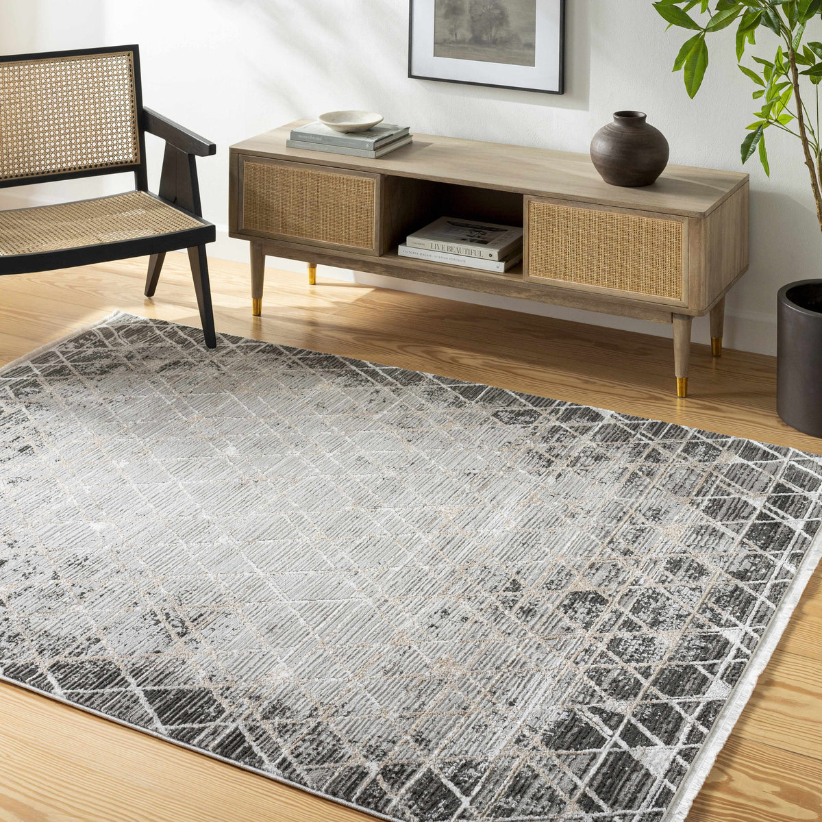 Gray Black 2' x 3' Area Rug F86267