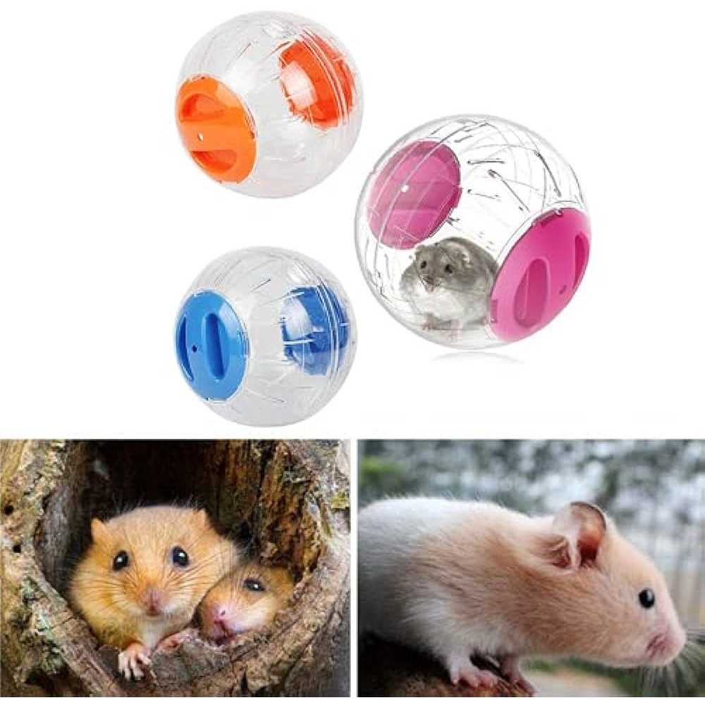 Transparent Hamster Exercise Ball E921903